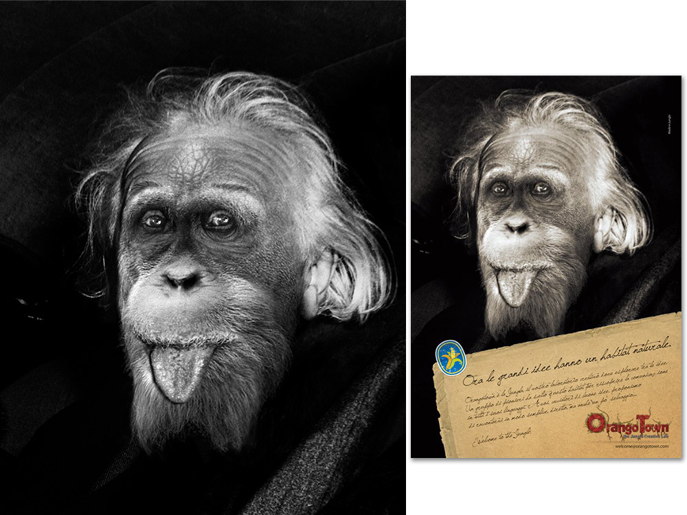 Left Image