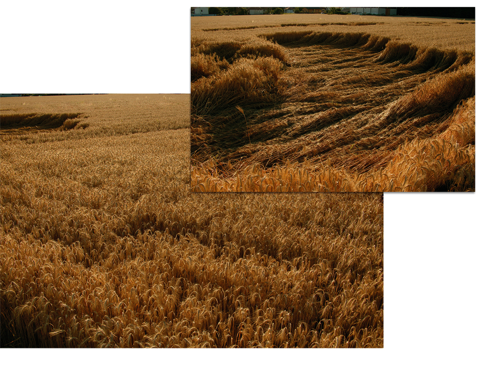 Right Image