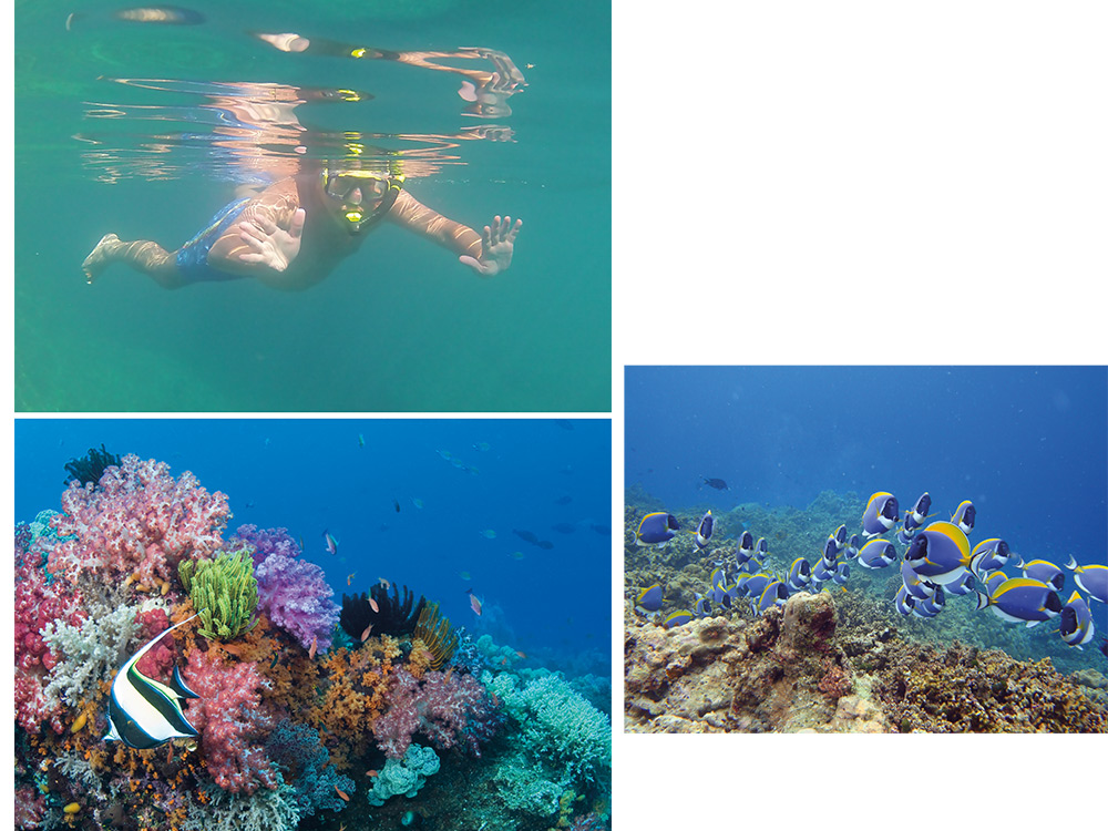 Right Image